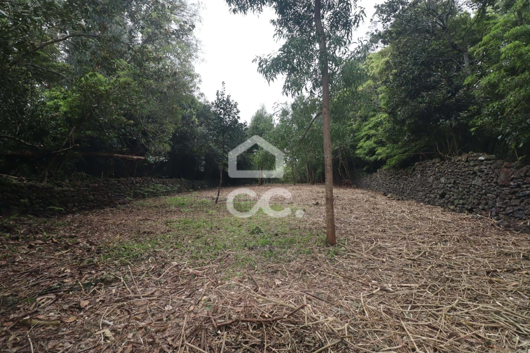 Terreno para Venda em Rabo de Peixe Foto 22