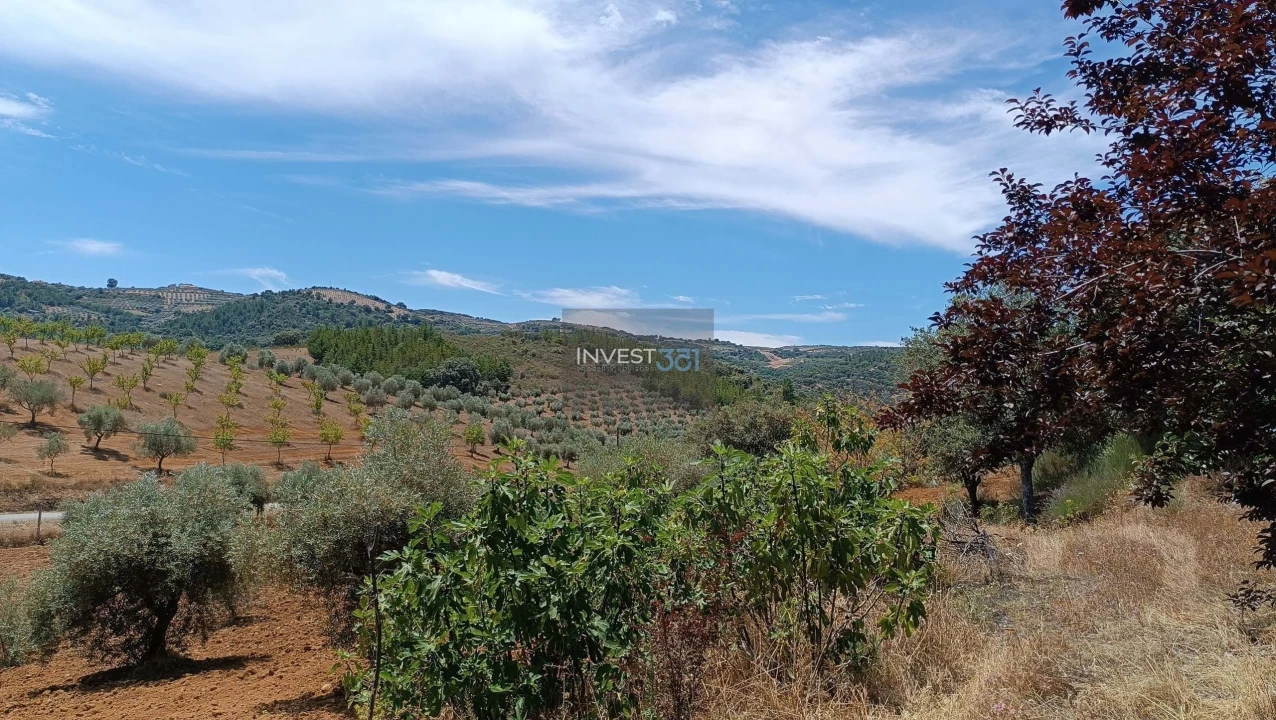 Moradia T3 para Venda em Morais Foto 8