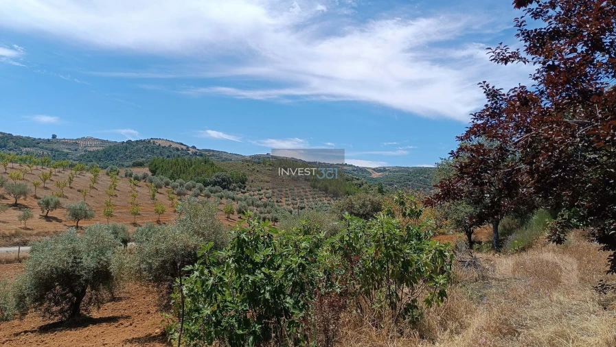 Moradia T3 para Venda em Morais Foto 8