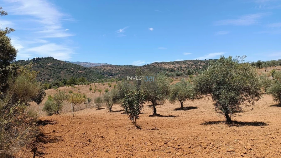 Moradia T3 para Venda em Morais Foto 13