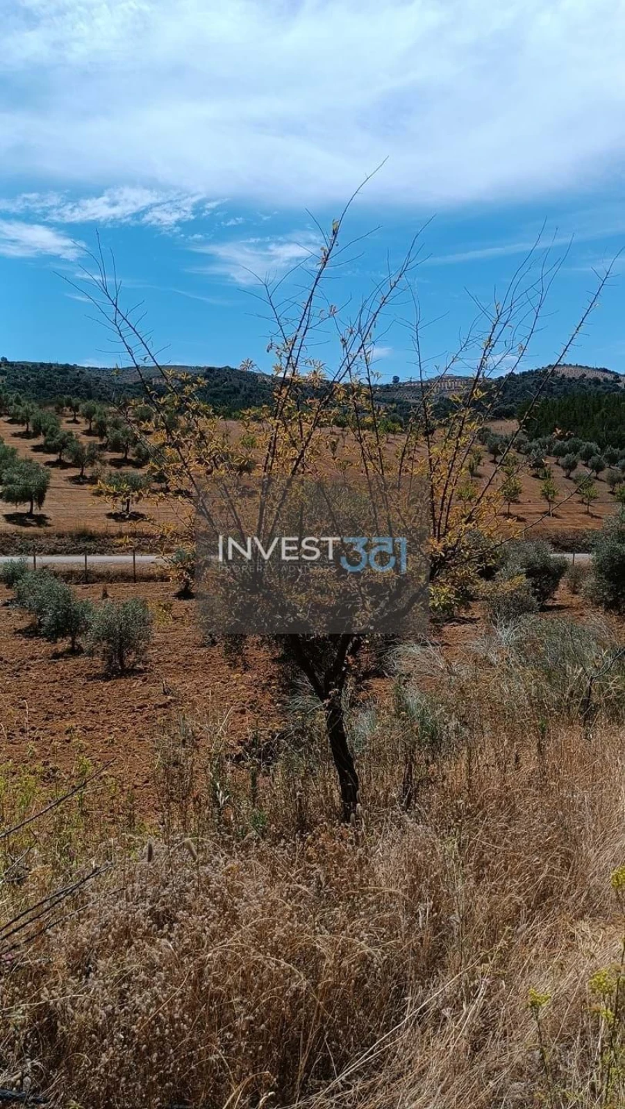 Moradia T3 para Venda em Morais Foto 3