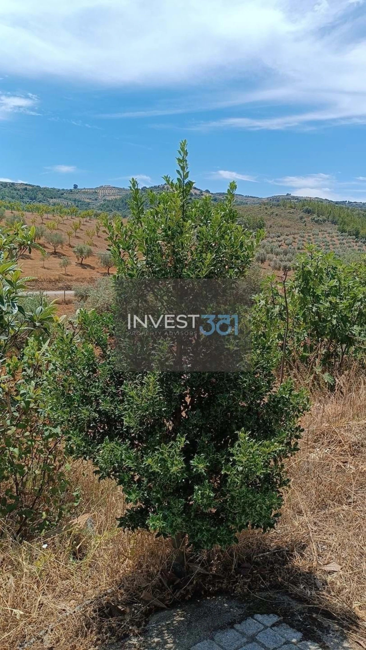 Moradia T3 para Venda em Morais Foto 7