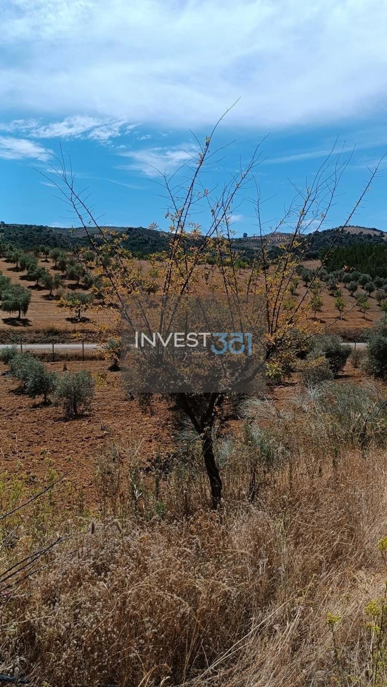 Moradia T3 para Venda em Morais Foto 3