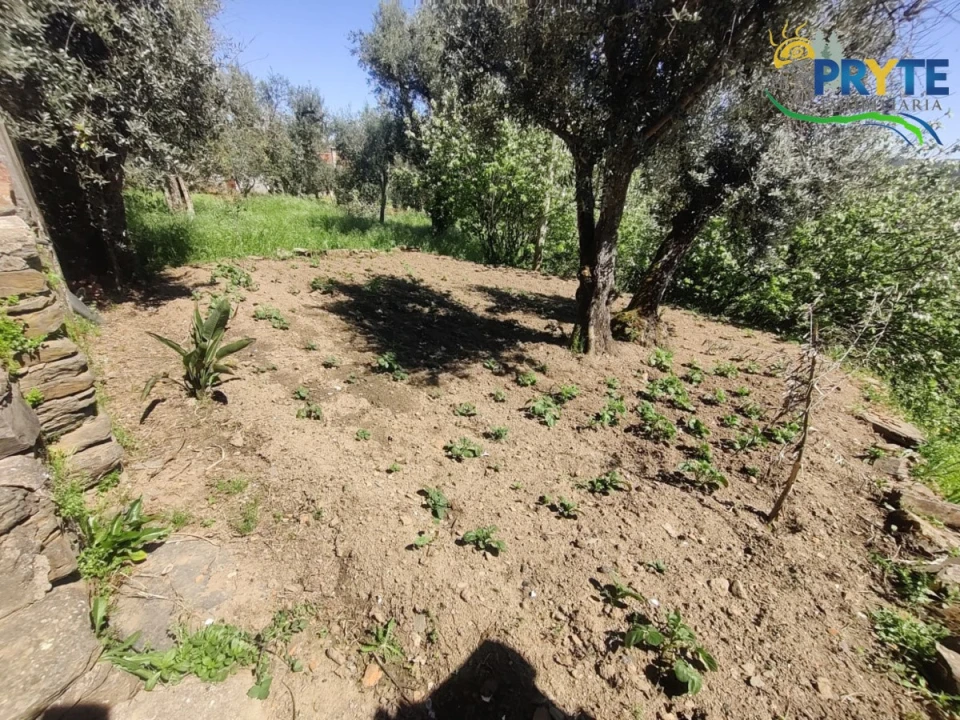 Moradia T3 para Venda em Sertã Foto 19