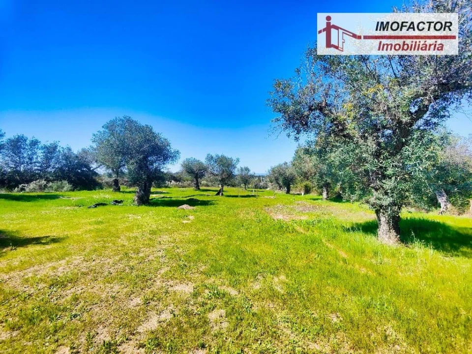 Terreno para Venda em Freixial e Juncal do Campo Foto 9