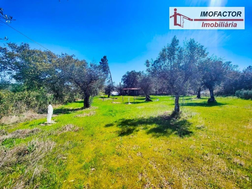 Terreno para Venda em Freixial e Juncal do Campo Foto 15