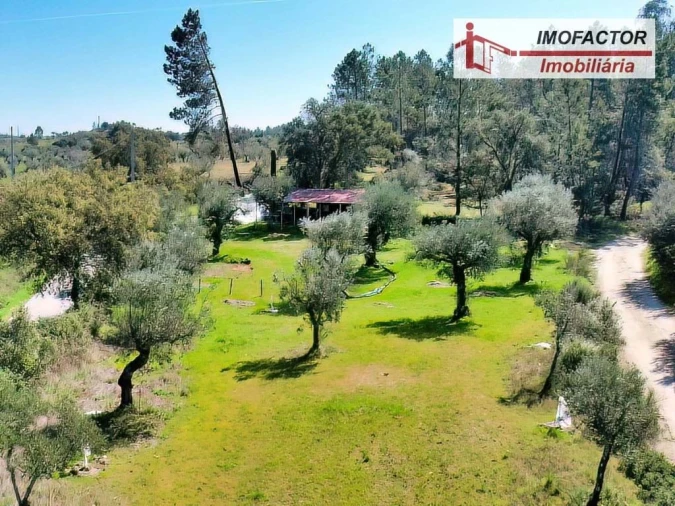 Terreno para Venda em Freixial e Juncal do Campo Foto 4