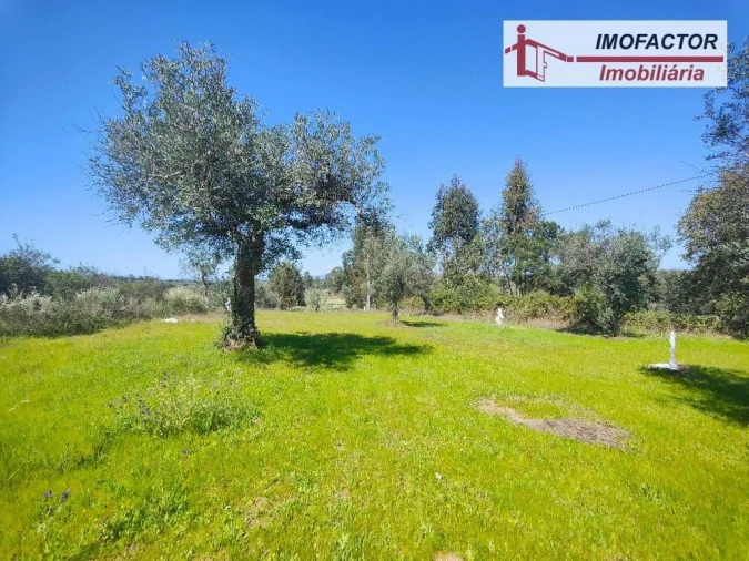 Terreno para Venda em Freixial e Juncal do Campo Foto 11