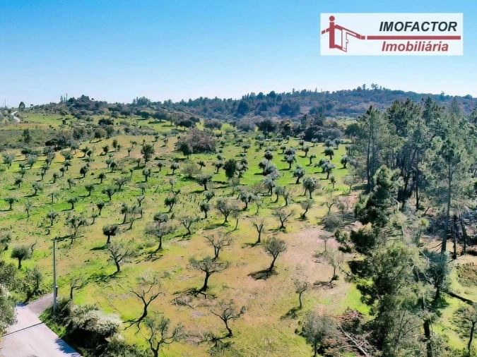 Terreno para Venda em Freixial e Juncal do Campo Foto 3