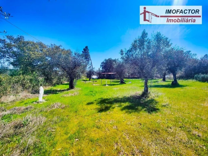 Terreno para Venda em Freixial e Juncal do Campo Foto 15
