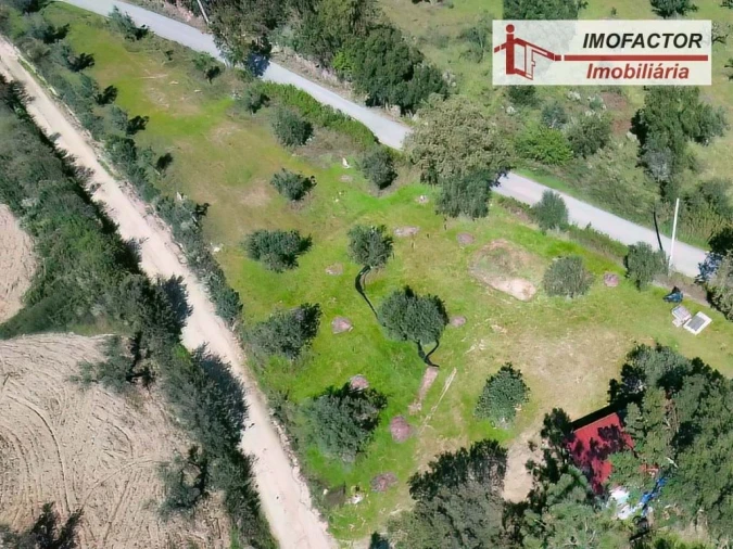 Terreno para Venda em Freixial e Juncal do Campo Foto 6