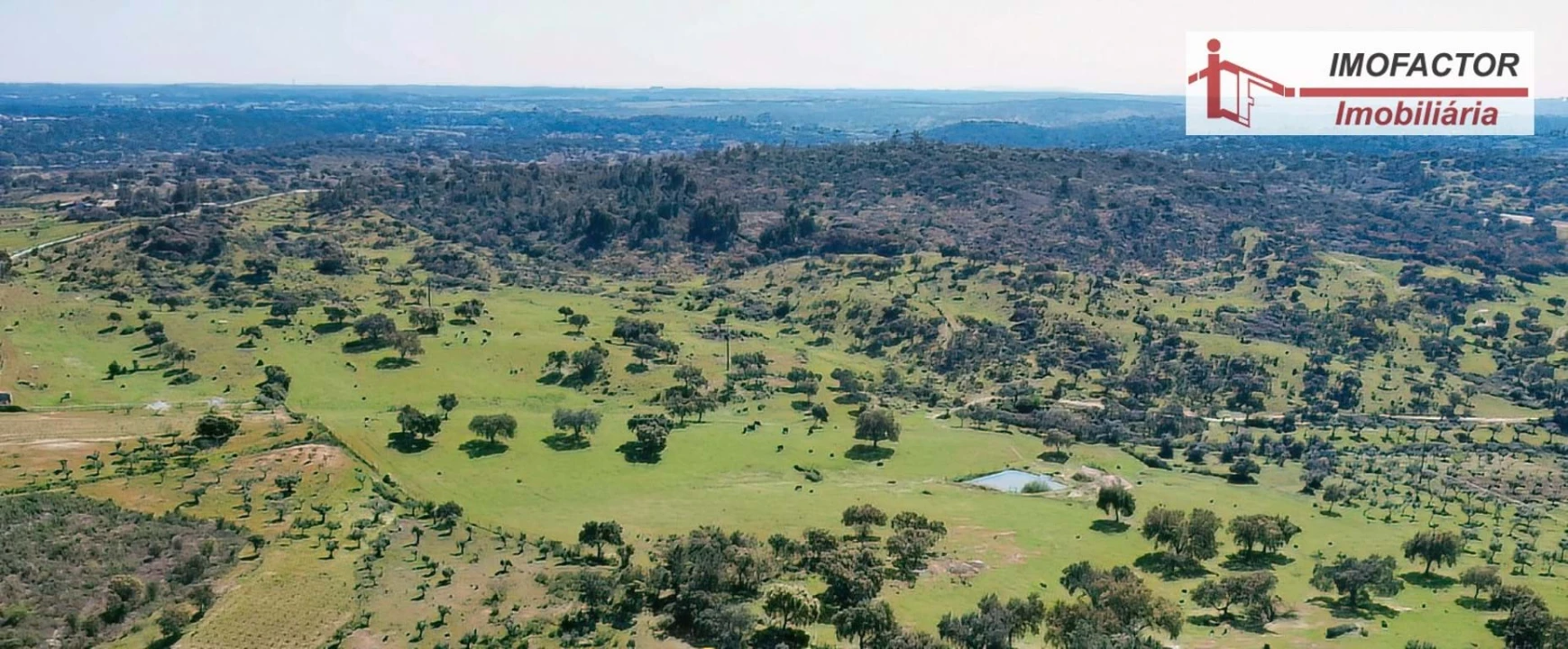 Terreno para Venda em Freixial e Juncal do Campo Foto 21