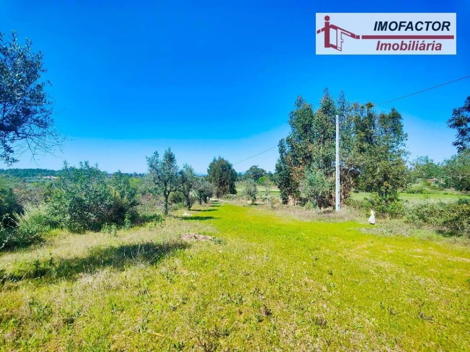Terreno para Venda em Freixial e Juncal do Campo Foto 13