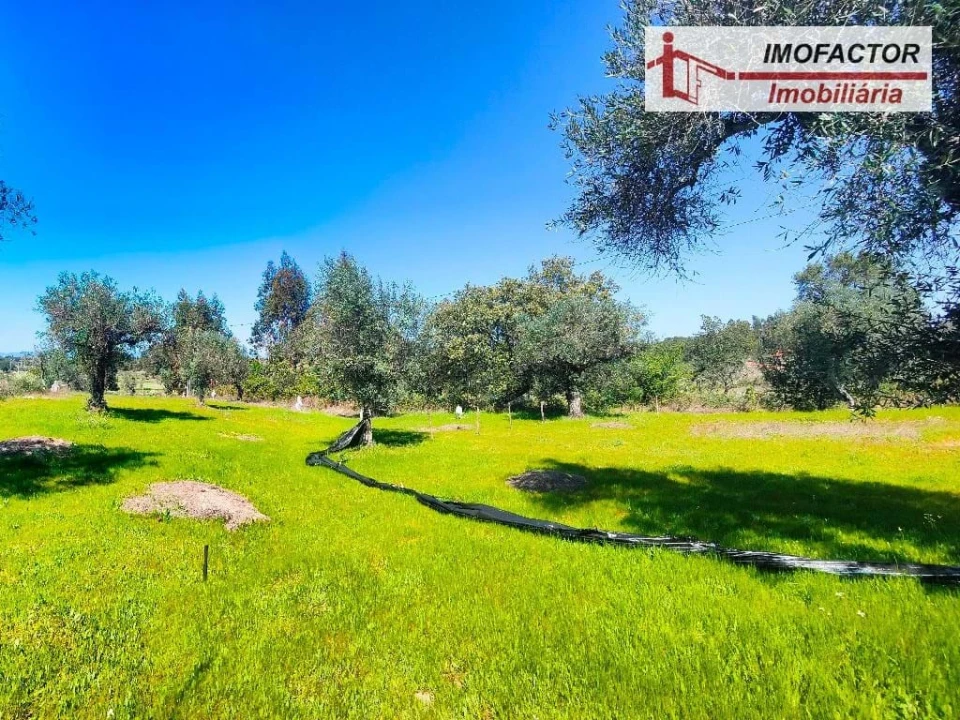 Terreno para Venda em Freixial e Juncal do Campo Foto 10
