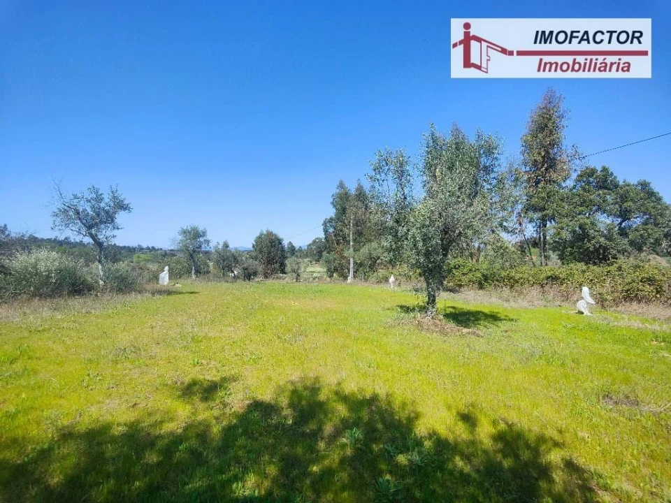 Terreno para Venda em Freixial e Juncal do Campo Foto 12
