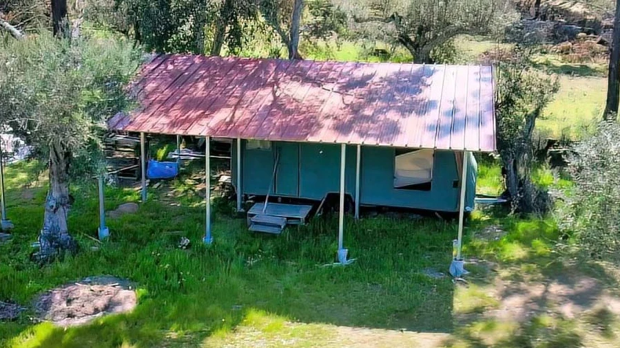 Terreno para Venda em Freixial e Juncal do Campo