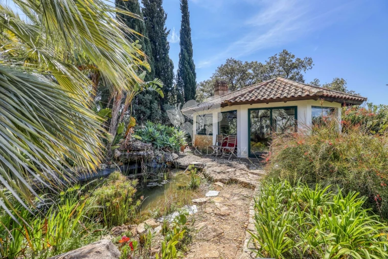 Moradia T3 para Venda em Olhão Foto 35