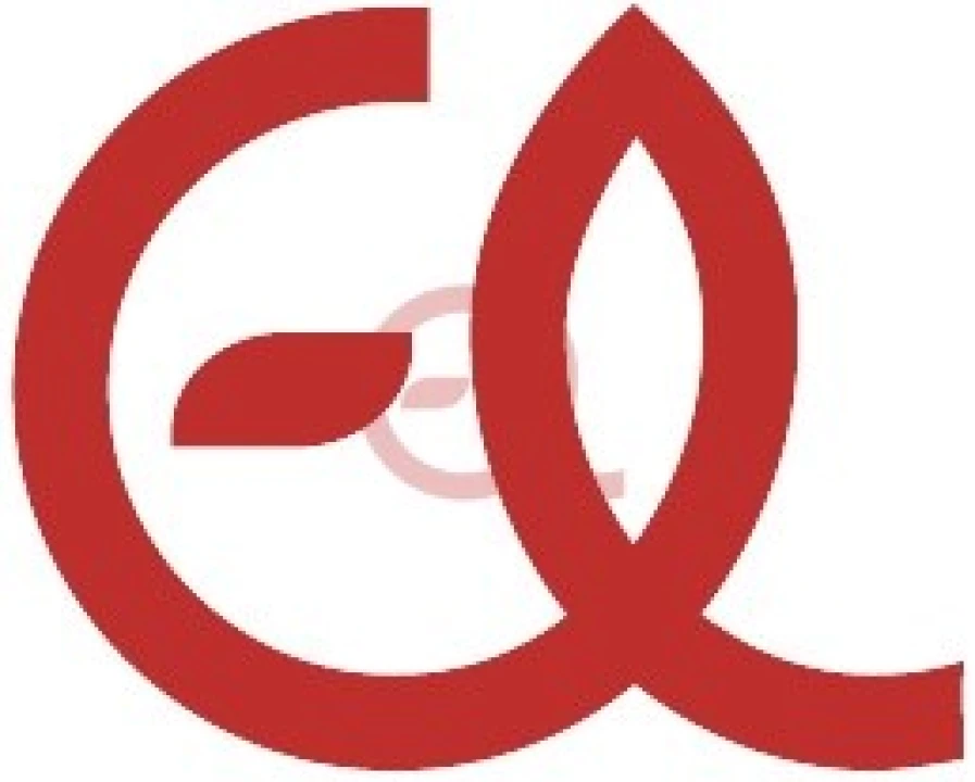 Apartamento T3 para Venda em Areosa Foto 10