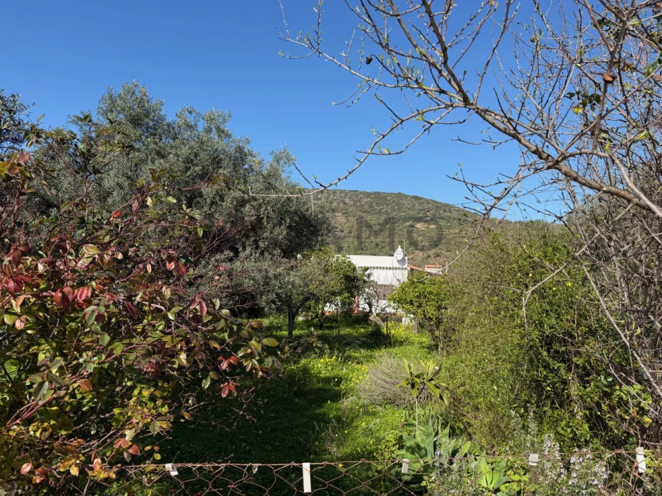 Moradia T4 para Venda em Salir Foto 10