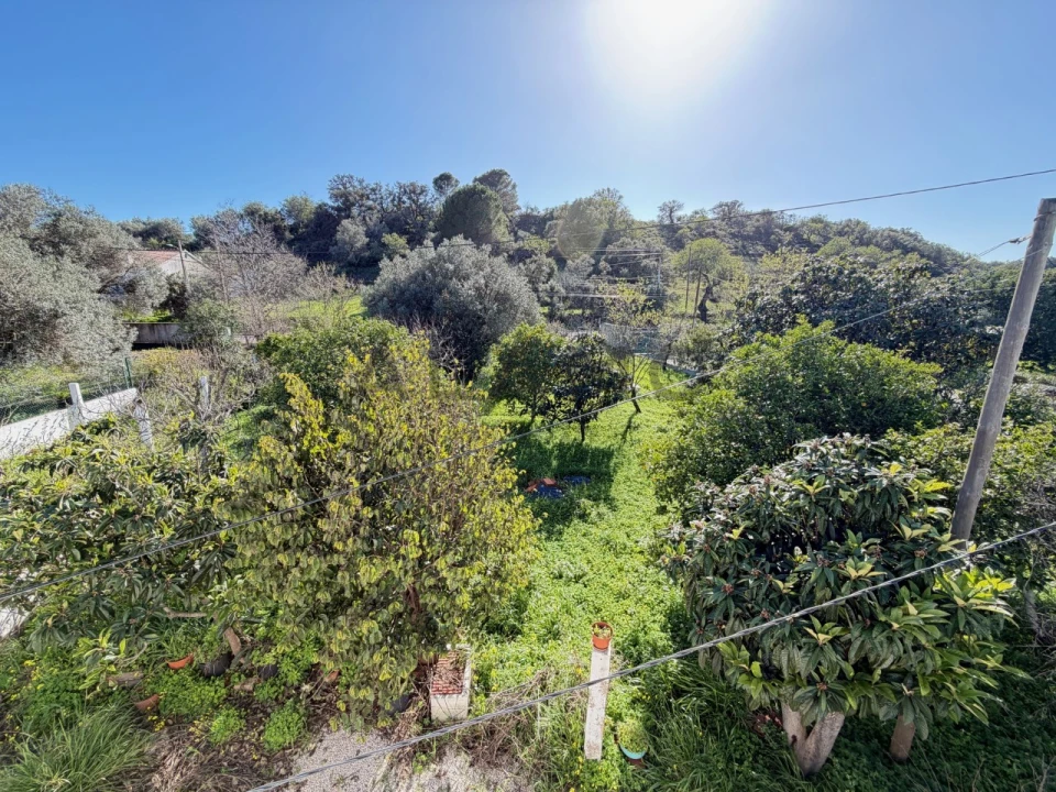 Moradia T4 para Venda em Salir Foto 12