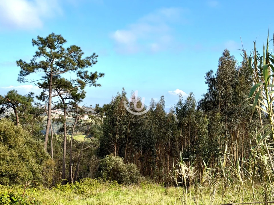 Terreno para Venda em Alfeizerão Foto 6