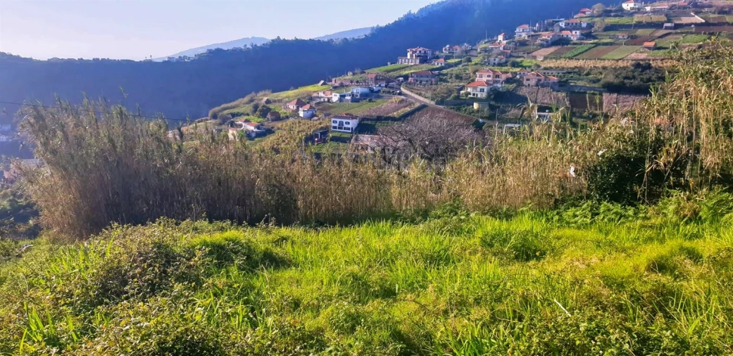 Terreno Agricola ou Rústico para Venda em Canhas Foto 4