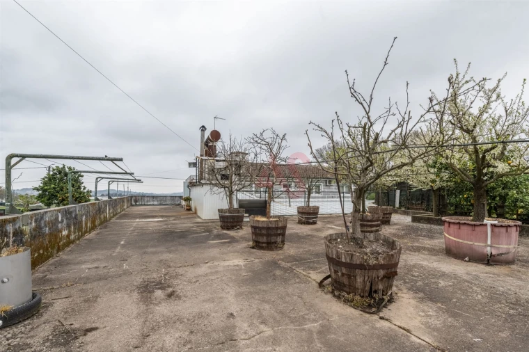 Prédio para Venda em Roriz Foto 23