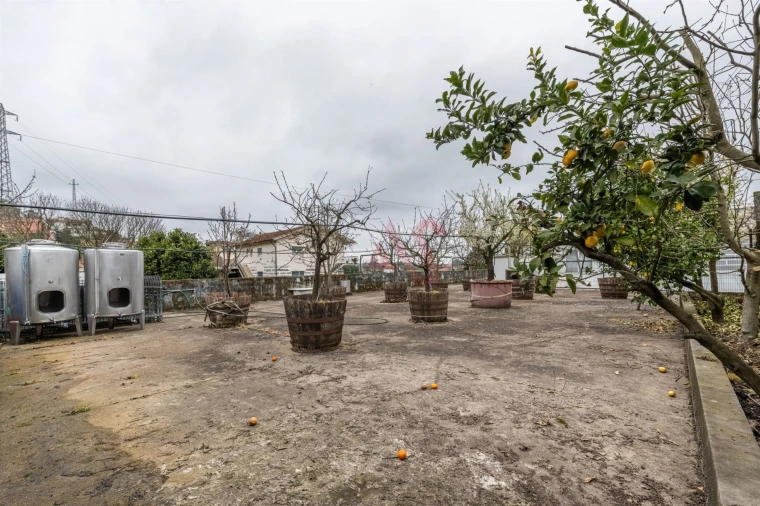 Prédio para Venda em Roriz Foto 24