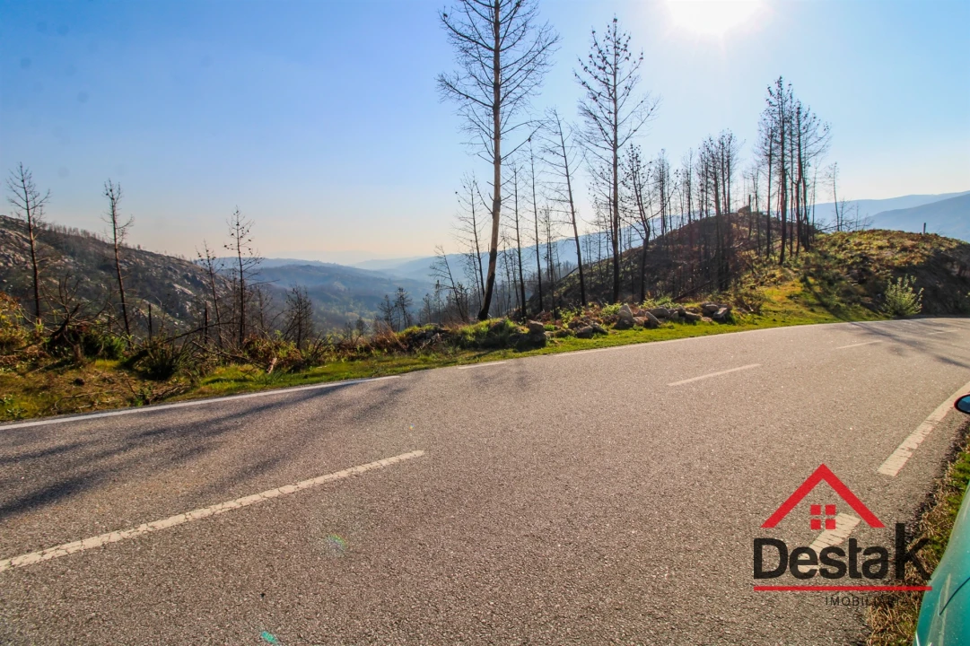 Terreno Agricola ou Rústico para Venda em Sul Foto 9