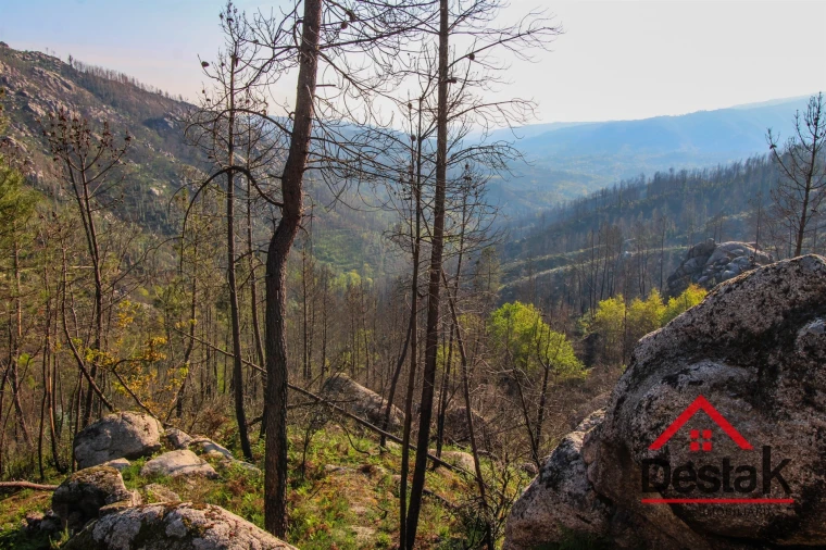 Terreno Agricola ou Rústico para Venda em Sul Foto 7