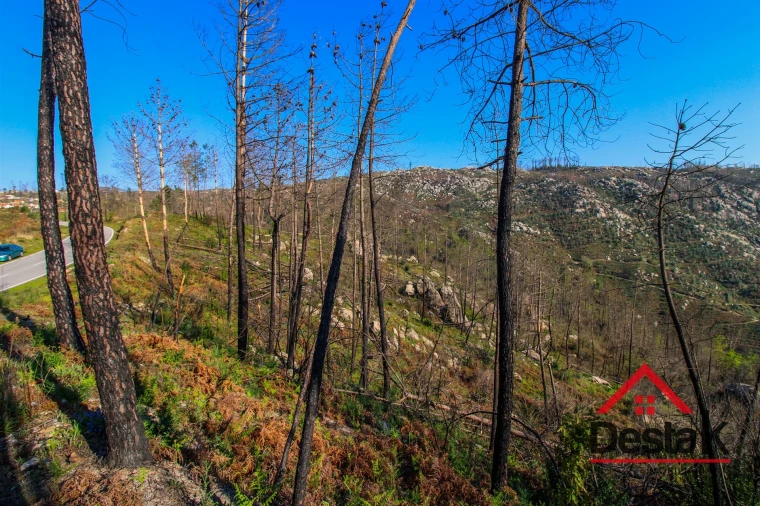 Terreno Agricola ou Rústico para Venda em Sul Foto 11