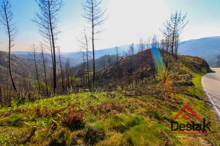 Terreno Agricola ou Rústico para Venda em Sul Foto 1