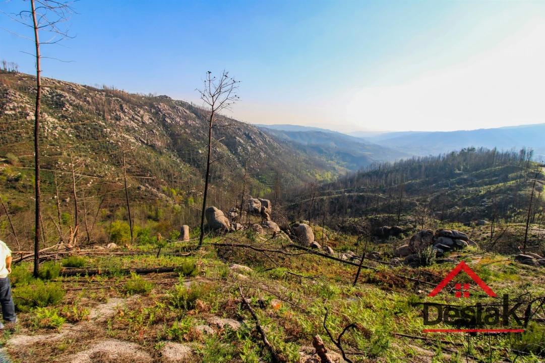 Terreno Agricola ou Rústico para Venda em Sul Foto 12