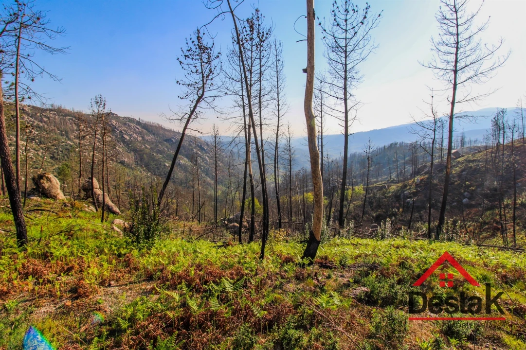 Terreno Agricola ou Rústico para Venda em Sul Foto 8