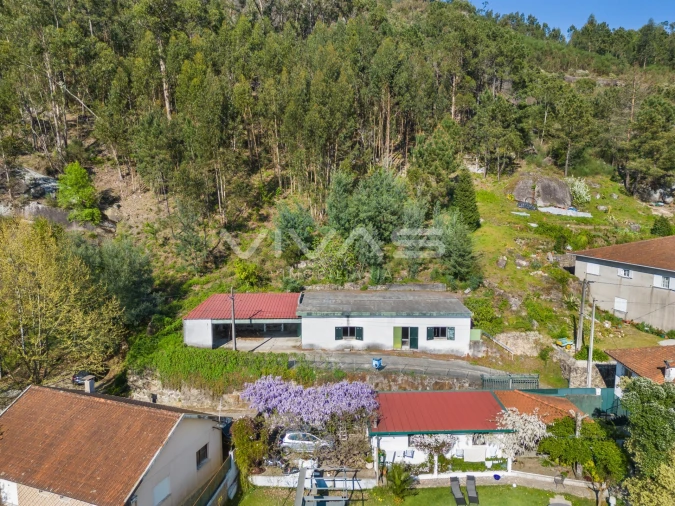 Terreno para Venda em Bouro (Santa Maria) Foto 2