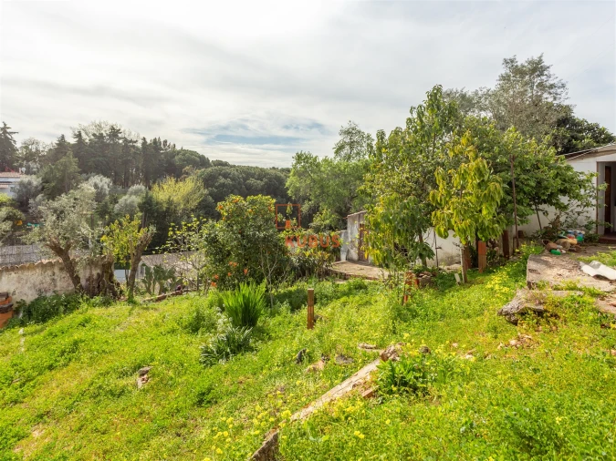 Moradia T3 para Venda em Chamusca e Pinheiro Grande Foto 15