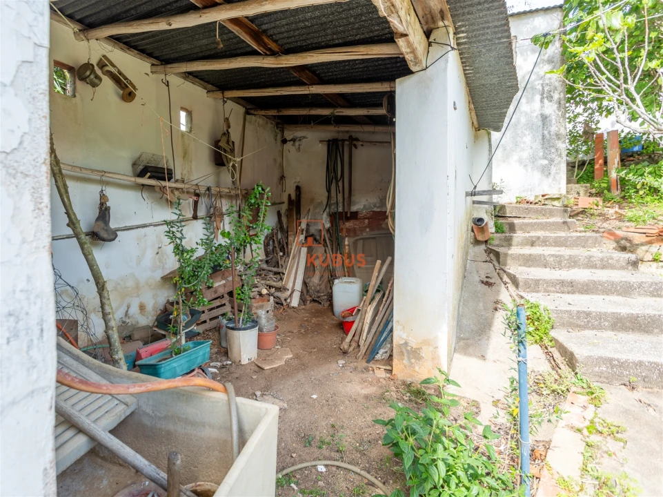 Moradia T3 para Venda em Chamusca e Pinheiro Grande Foto 16