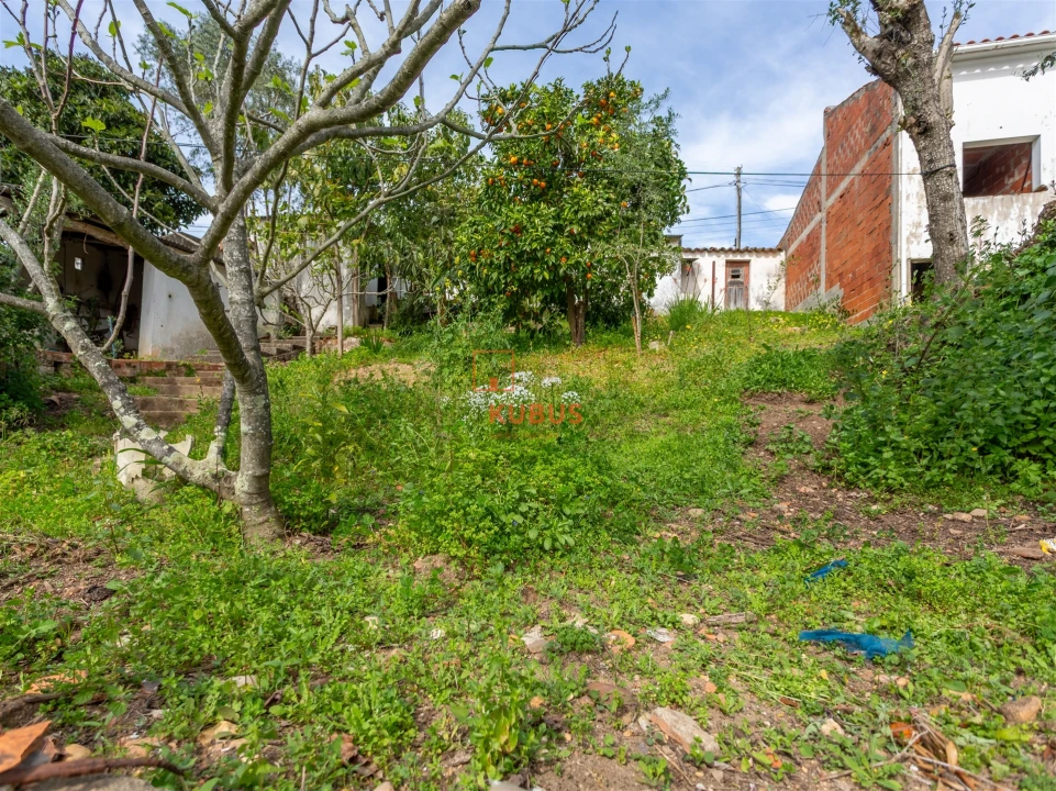 Moradia T3 para Venda em Chamusca e Pinheiro Grande Foto 20