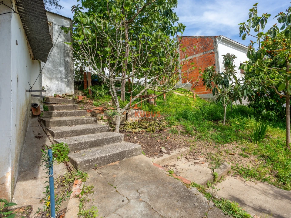 Moradia T3 para Venda em Chamusca e Pinheiro Grande Foto 17