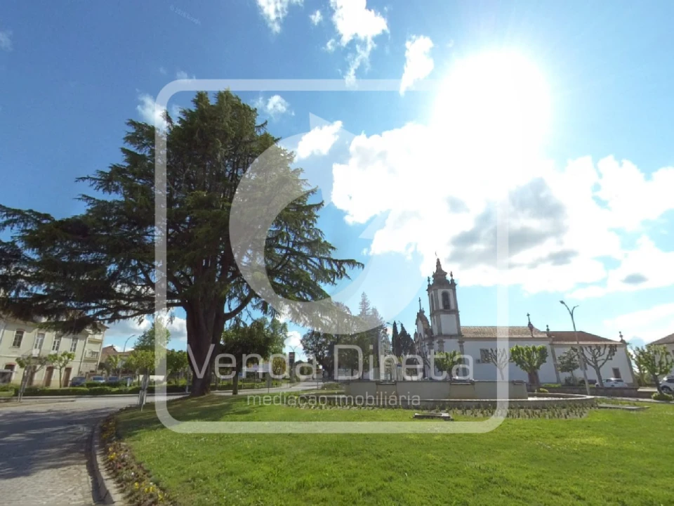 Prédio para Venda em Nelas Foto 14