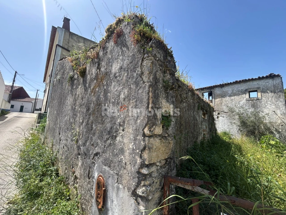 Terreno para Venda em Assentiz Foto 4