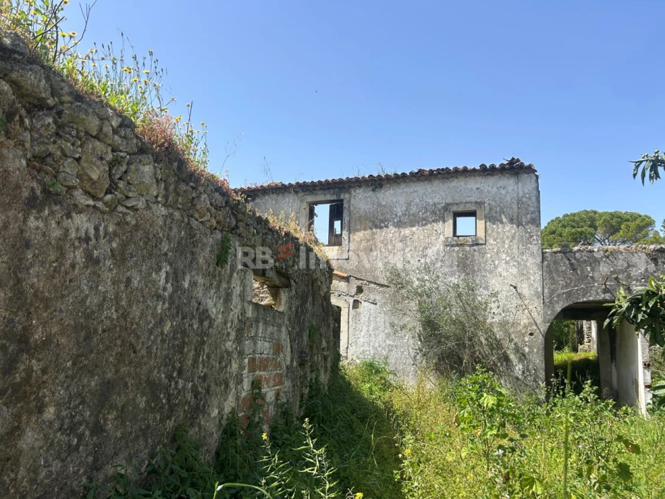 Terreno para Venda em Assentiz Foto 5