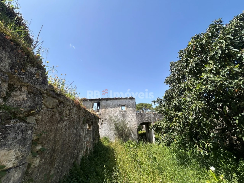 Terreno para Venda em Assentiz Foto 8