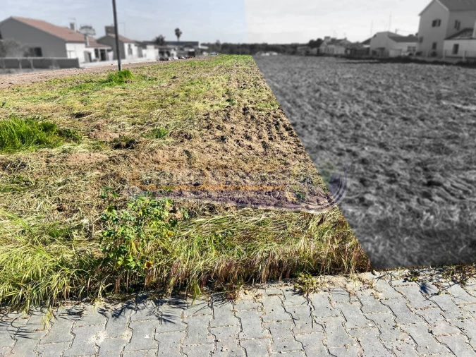 Terreno para Venda em Salvaterra de Magos e Foros de Salvaterra Foto 6