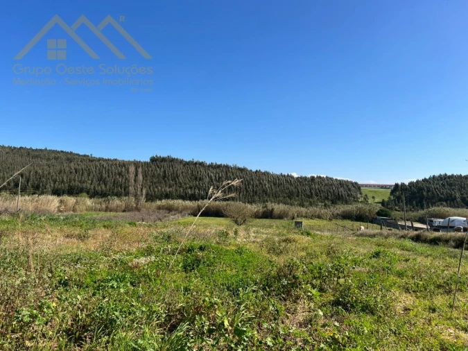 Terreno Agricola ou Rústico para Venda em Vimeiro Foto 3