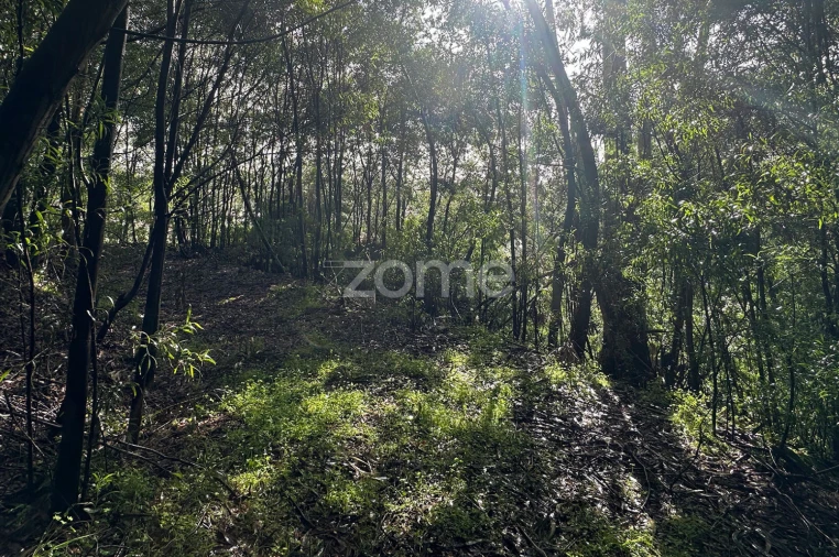 Quinta T2 para Venda em Custóias, Leça do Balio e Guifões Foto 15