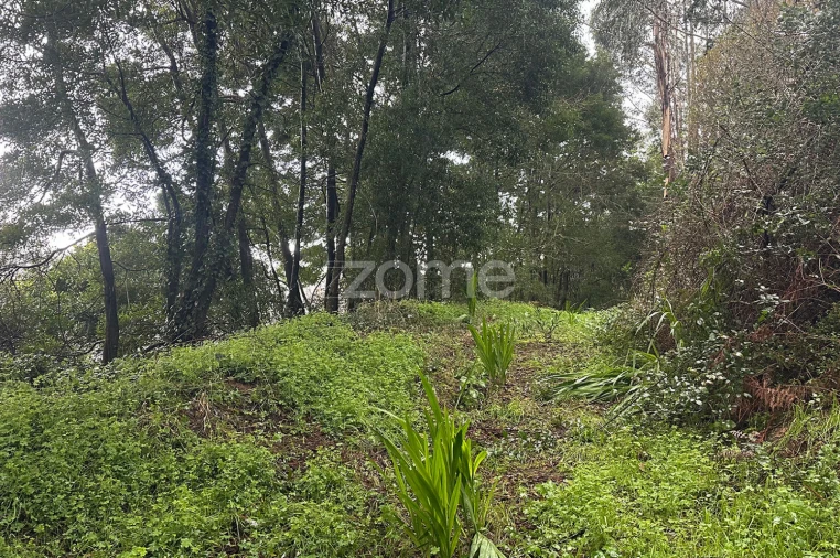Quinta T2 para Venda em Custóias, Leça do Balio e Guifões Foto 14