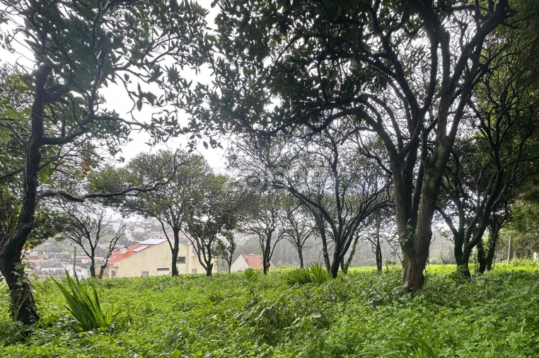 Quinta T2 para Venda em Custóias, Leça do Balio e Guifões Foto 13