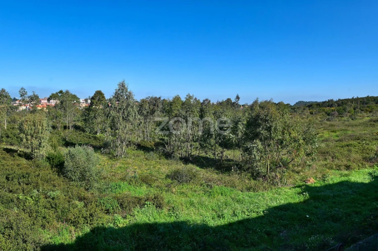 Apartamento T2 para Venda em Rio de Mouro Foto 20