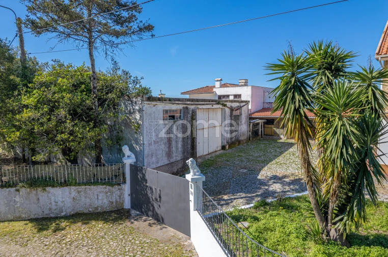 Terreno Comércio / Armazém para Venda em Carreço Foto 4